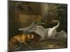 Swan Attacked by a Dog, 1745-Jean-Baptiste Oudry-Mounted Giclee Print