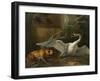 Swan Attacked by a Dog, 1745-Jean-Baptiste Oudry-Framed Giclee Print