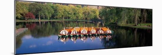 Swan boats in a lake, Boston Common, Boston, Suffolk County, Massachusetts, USA-null-Mounted Photographic Print