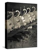 Swan Boats in a River, Boston Public Garden, Boston, Massachusetts, USA-null-Stretched Canvas