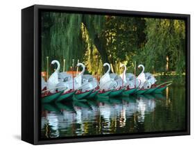 Swan Boats in Public Garden, Boston, Massachusetts-Lisa S^ Engelbrecht-Framed Stretched Canvas