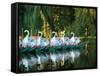 Swan Boats in Public Garden, Boston, Massachusetts-Lisa S^ Engelbrecht-Framed Stretched Canvas