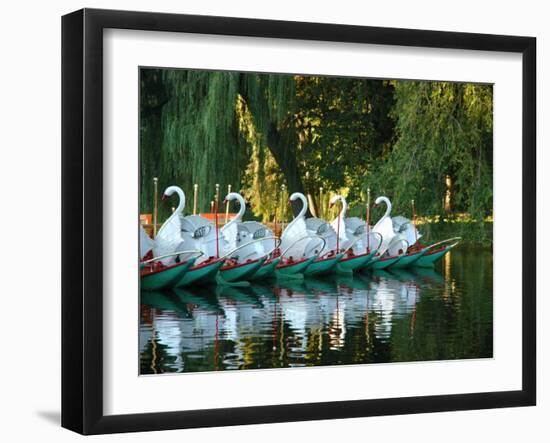 Swan Boats in Public Garden, Boston, Massachusetts-Lisa S^ Engelbrecht-Framed Premium Photographic Print