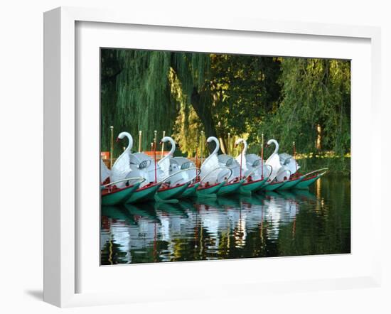 Swan Boats in Public Garden, Boston, Massachusetts-Lisa S^ Engelbrecht-Framed Premium Photographic Print