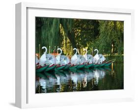 Swan Boats in Public Garden, Boston, Massachusetts-Lisa S^ Engelbrecht-Framed Premium Photographic Print