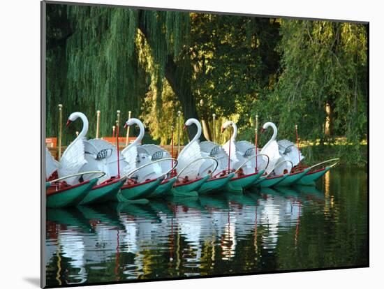 Swan Boats in Public Garden, Boston, Massachusetts-Lisa S^ Engelbrecht-Mounted Premium Photographic Print