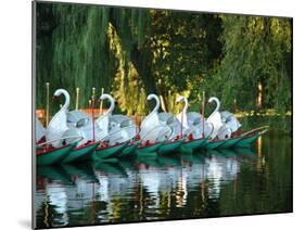 Swan Boats in Public Garden, Boston, Massachusetts-Lisa S^ Engelbrecht-Mounted Premium Photographic Print