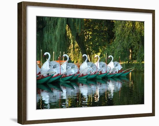 Swan Boats in Public Garden, Boston, Massachusetts-Lisa S^ Engelbrecht-Framed Photographic Print