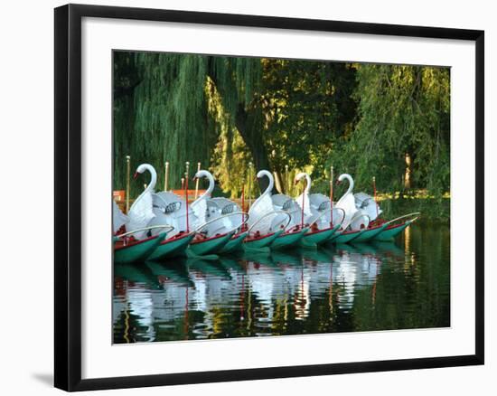 Swan Boats in Public Garden, Boston, Massachusetts-Lisa S^ Engelbrecht-Framed Photographic Print