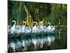 Swan Boats in Public Garden, Boston, Massachusetts-Lisa S^ Engelbrecht-Mounted Photographic Print