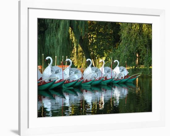 Swan Boats in Public Garden, Boston, Massachusetts-Lisa S^ Engelbrecht-Framed Photographic Print