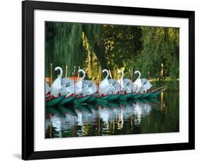 Swan Boats in Public Garden, Boston, Massachusetts-Lisa S^ Engelbrecht-Framed Photographic Print