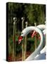 Swan Boats in Public Garden, Boston, Massachusetts-Lisa S. Engelbrecht-Stretched Canvas