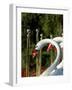 Swan Boats in Public Garden, Boston, Massachusetts-Lisa S. Engelbrecht-Framed Photographic Print