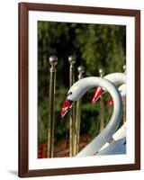 Swan Boats in Public Garden, Boston, Massachusetts-Lisa S. Engelbrecht-Framed Photographic Print