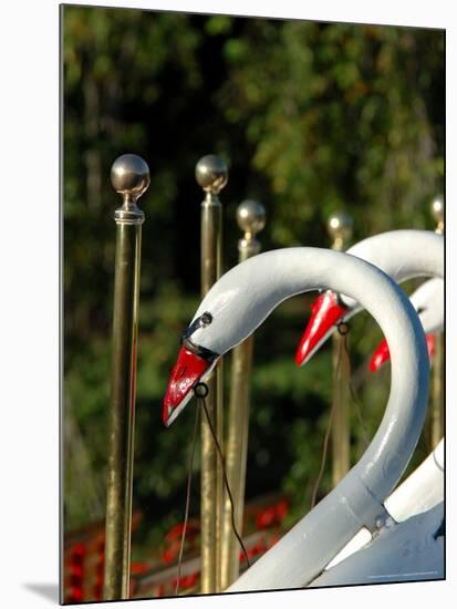 Swan Boats in Public Garden, Boston, Massachusetts-Lisa S. Engelbrecht-Mounted Photographic Print