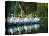 Swan Boats in Public Garden, Boston, Massachusetts-Lisa S^ Engelbrecht-Stretched Canvas