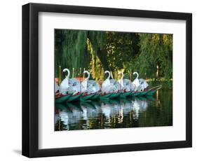 Swan Boats in Public Garden, Boston, Massachusetts-Lisa S^ Engelbrecht-Framed Photographic Print