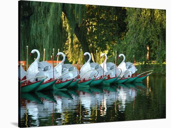 Swan Boats in Public Garden, Boston, Massachusetts-Lisa S^ Engelbrecht-Stretched Canvas