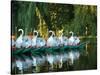 Swan Boats in Public Garden, Boston, Massachusetts-Lisa S^ Engelbrecht-Stretched Canvas