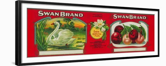 Swan Cherry Label - Oakland, CA-Lantern Press-Framed Premium Giclee Print