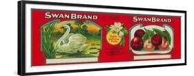 Swan Cherry Label - Oakland, CA-Lantern Press-Framed Premium Giclee Print