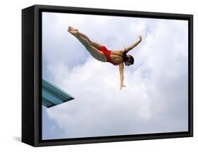 Swan Dive-null-Framed Stretched Canvas