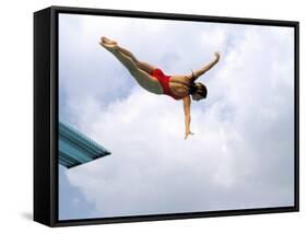 Swan Dive-null-Framed Stretched Canvas