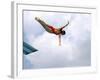 Swan Dive-null-Framed Photographic Print