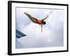 Swan Dive-null-Framed Photographic Print