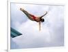 Swan Dive-null-Framed Photographic Print