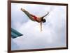 Swan Dive-null-Framed Photographic Print