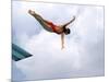 Swan Dive-null-Mounted Photographic Print