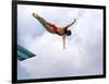 Swan Dive-null-Framed Photographic Print