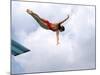 Swan Dive-null-Mounted Photographic Print