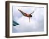 Swan Dive-null-Framed Photographic Print