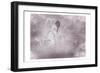 Swan Fairy-null-Framed Art Print