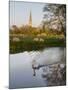 Swan In Front Of Salisbury Cathedral-Charles Bowman-Mounted Photographic Print