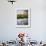 Swan In Front Of Salisbury Cathedral-Charles Bowman-Framed Photographic Print displayed on a wall