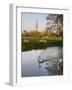 Swan In Front Of Salisbury Cathedral-Charles Bowman-Framed Photographic Print