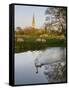 Swan In Front Of Salisbury Cathedral-Charles Bowman-Framed Stretched Canvas