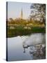 Swan In Front Of Salisbury Cathedral-Charles Bowman-Stretched Canvas