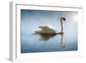 Swan in the Morning Sunlight with Reflections on Calm Water in a Lake-Flynt-Framed Photographic Print