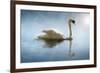 Swan in the Morning Sunlight with Reflections on Calm Water in a Lake-Flynt-Framed Photographic Print