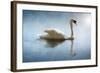 Swan in the Morning Sunlight with Reflections on Calm Water in a Lake-Flynt-Framed Photographic Print