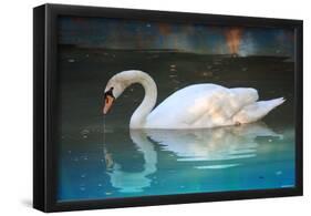 Swan (In Water, Reflection) Art Poster Print-null-Framed Poster