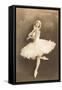 Swan Lake Ballerina-null-Framed Stretched Canvas