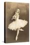 Swan Lake Ballerina-null-Stretched Canvas