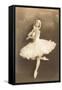 Swan Lake Ballerina-null-Framed Stretched Canvas