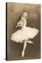 Swan Lake Ballerina-null-Stretched Canvas